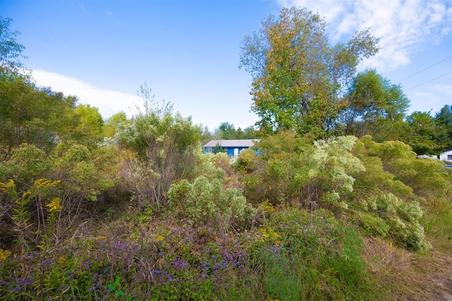 396 Fcr Unit 261, Oakwood, TX 75855 - view of undeveloped land