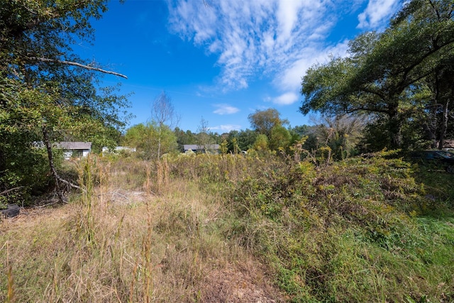 396 Fcr Unit 261, Oakwood, TX 75855 - view of nature