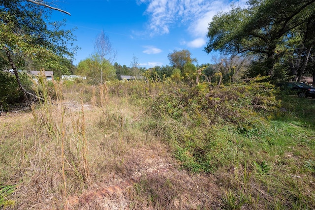 396 Fcr Unit 261, Oakwood, TX 75855 - view of undeveloped land
