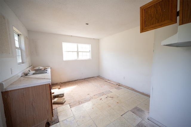 spare room with a healthy amount of sunlight and sink