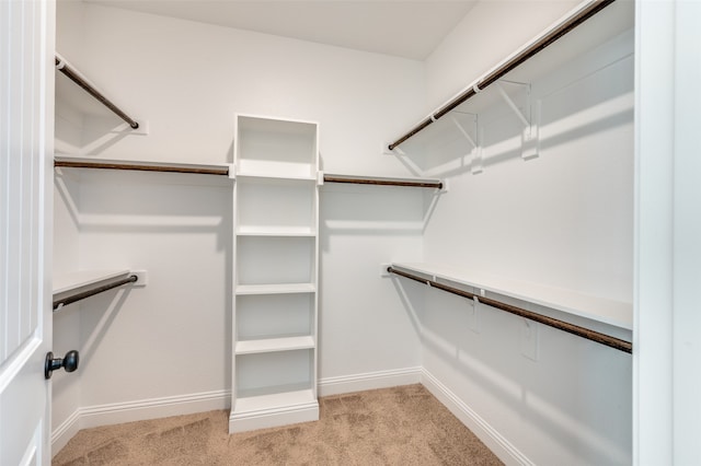 walk in closet featuring light colored carpet