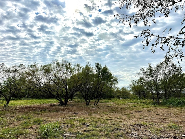 view of nature