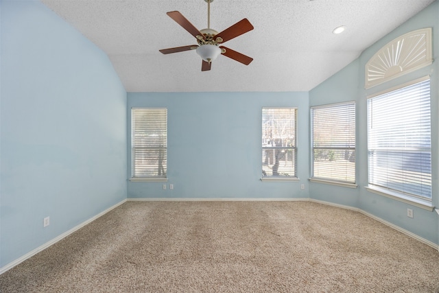 spare room featuring a textured ceiling, lofted ceiling, and a wealth of natural light