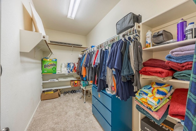 walk in closet with light colored carpet