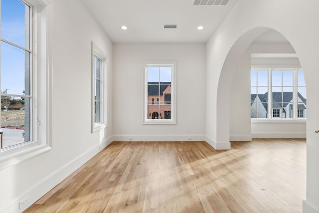 empty room with a mountain view, light wood-type flooring, and plenty of natural light