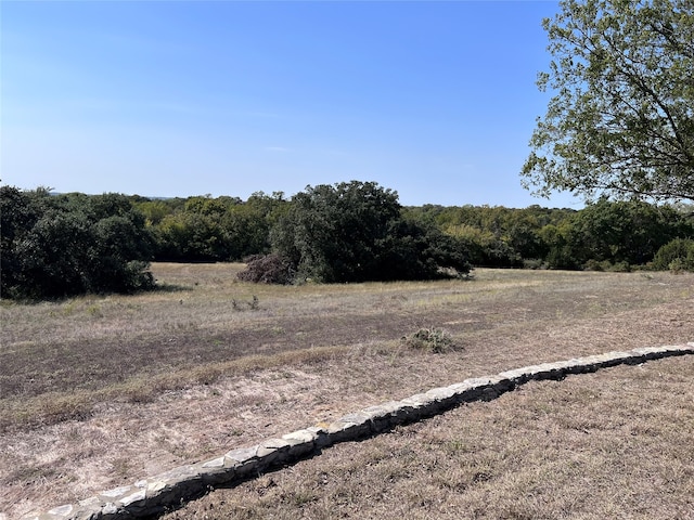 view of landscape featuring a rural view