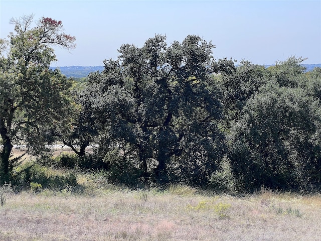 view of local wilderness