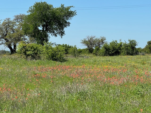 view of landscape