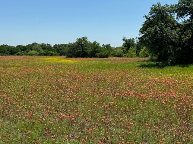 view of local wilderness featuring a rural view