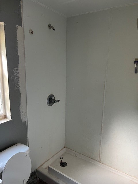 bathroom with a shower and toilet