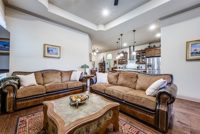 living room featuring sink, dark hardwood / wood-style floors, and a tray ceiling