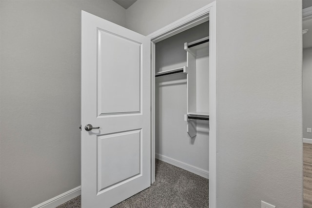 unfurnished room featuring carpet and ceiling fan