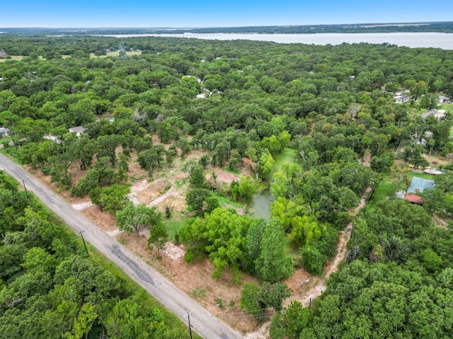 Listing photo 3 for TBD Hillcrest Cir, Gordonville TX 76245