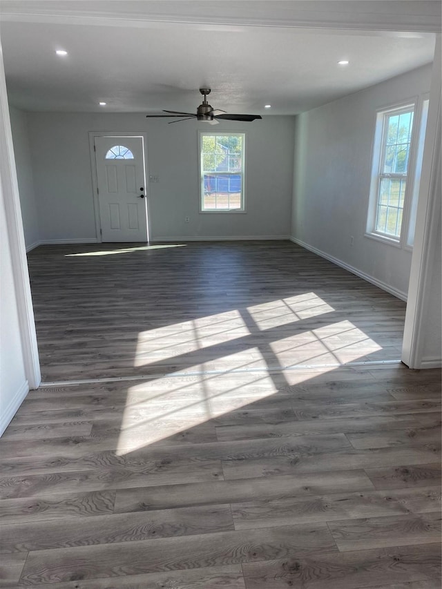 foyer entrance featuring ceiling fan and dark hardwood / wood-style flooring