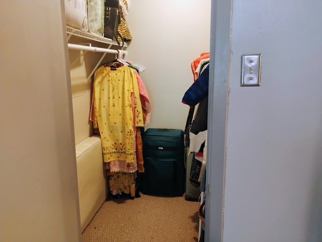 spacious closet with light carpet