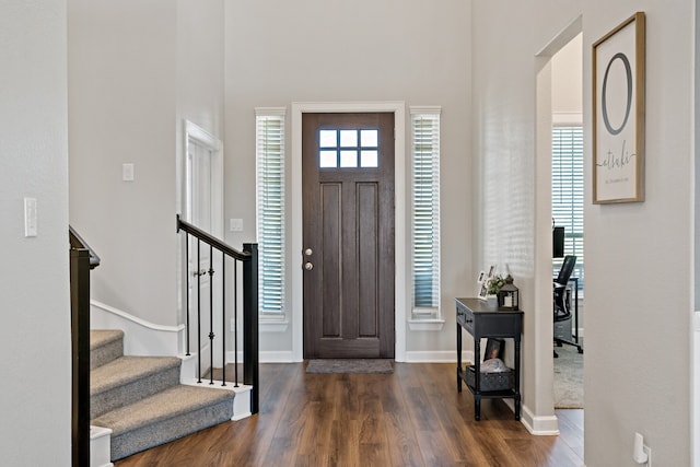 entrance foyer with dark wood-type flooring