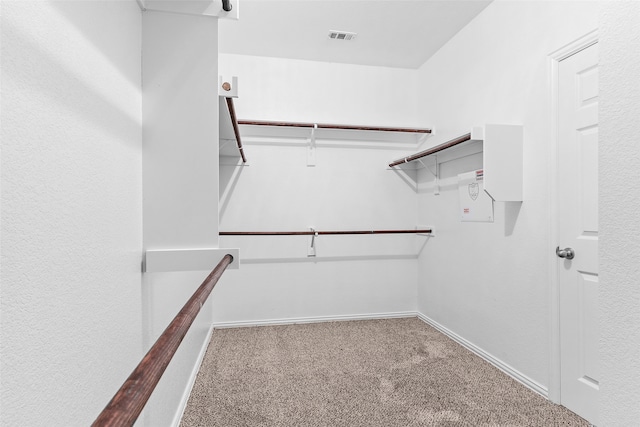 spacious closet featuring carpet floors