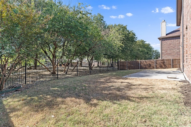 view of yard featuring a patio area