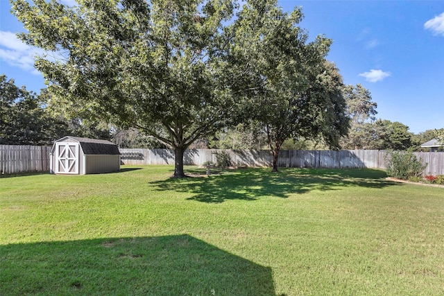 view of yard featuring a shed