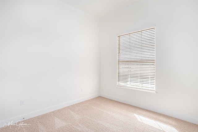 carpeted empty room featuring a healthy amount of sunlight