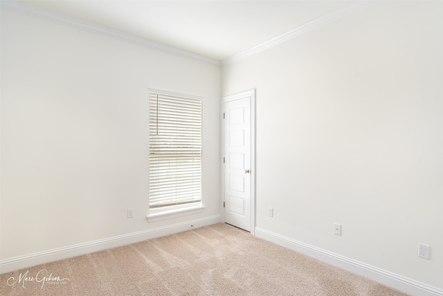 carpeted empty room with crown molding