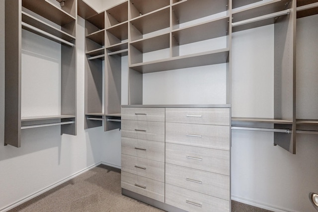 spacious closet with carpet floors