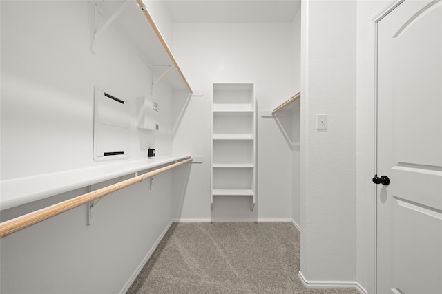 spacious closet with light carpet