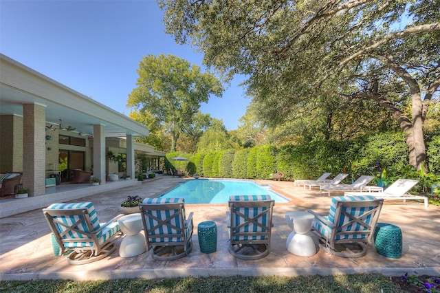 view of swimming pool with a patio and ceiling fan