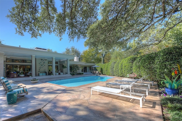 view of swimming pool with a patio area