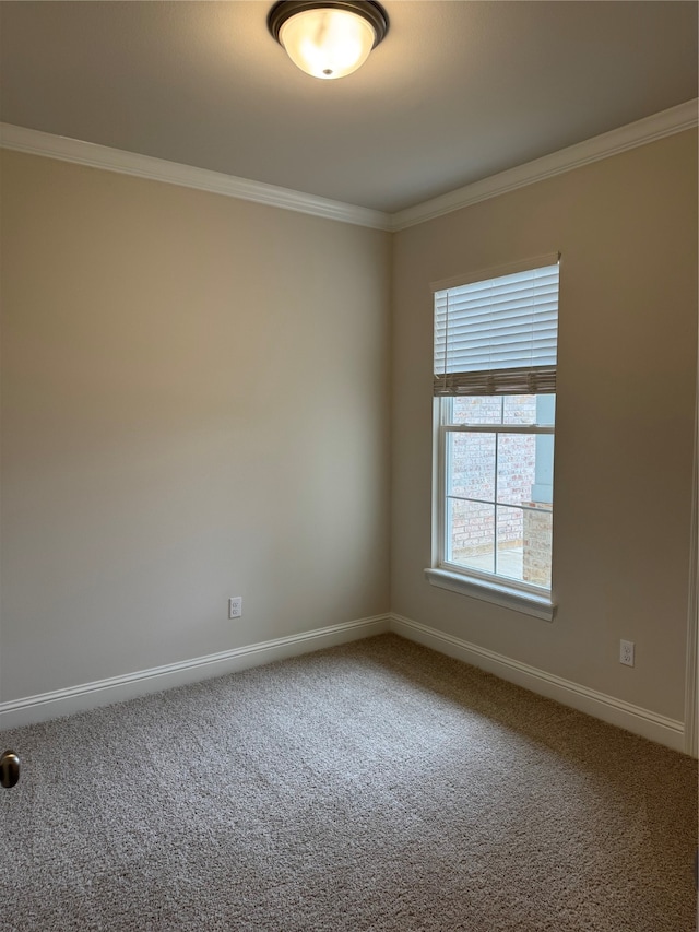 unfurnished room with ornamental molding and carpet