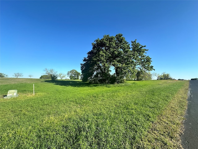 Listing photo 2 for LOT81 Moonlight Bay Ct, Streetman TX 75859