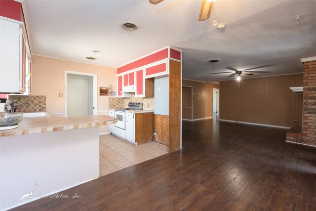 kitchen featuring tasteful backsplash, white electric range, ornamental molding, light hardwood / wood-style floors, and sink