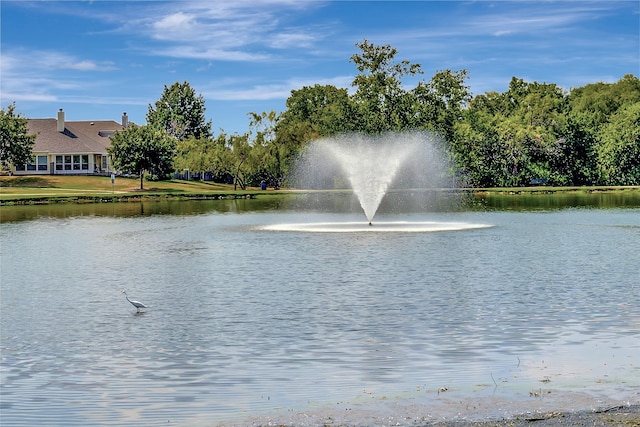 water view