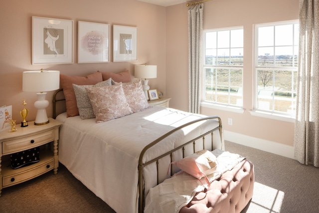 bedroom with carpet floors