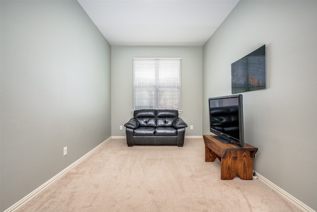 living area with light colored carpet