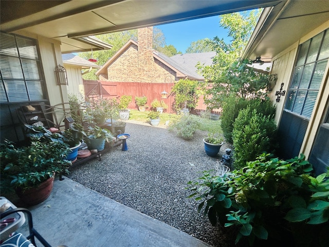 view of yard featuring a patio area