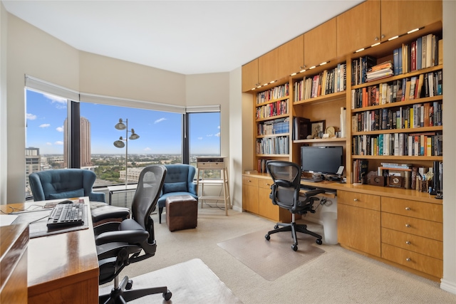 office area with light carpet and a healthy amount of sunlight