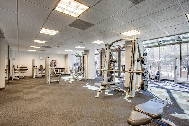 workout area with carpet and a paneled ceiling