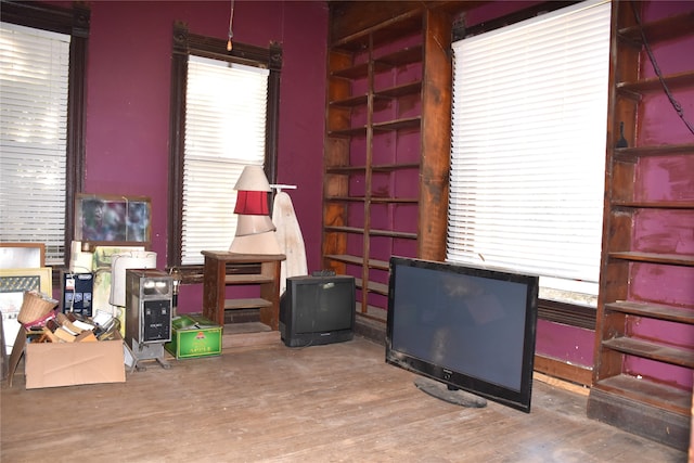 interior space featuring hardwood / wood-style floors