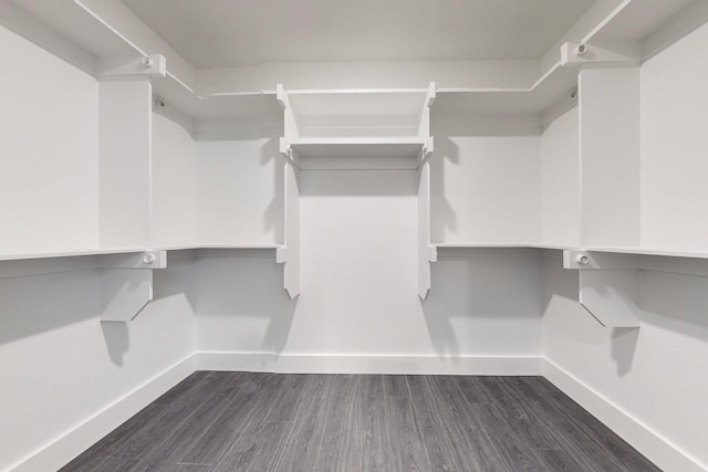 spacious closet featuring dark hardwood / wood-style flooring