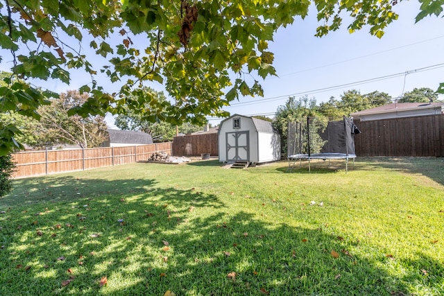 view of yard featuring a shed and a trampoline