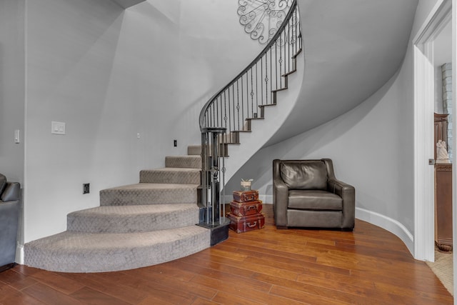 staircase featuring wood-type flooring