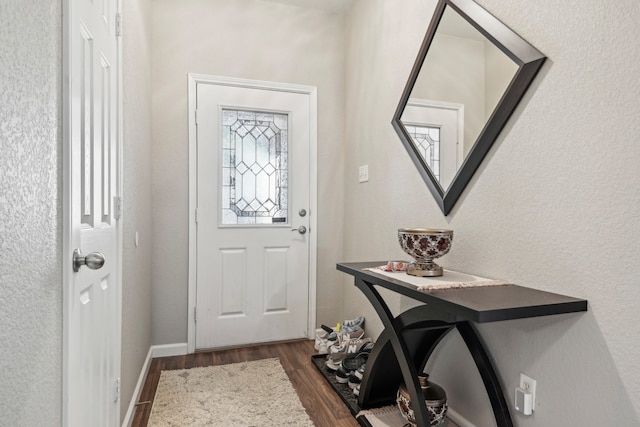 foyer with dark wood-type flooring