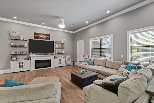 living room with crown molding and light wood-type flooring