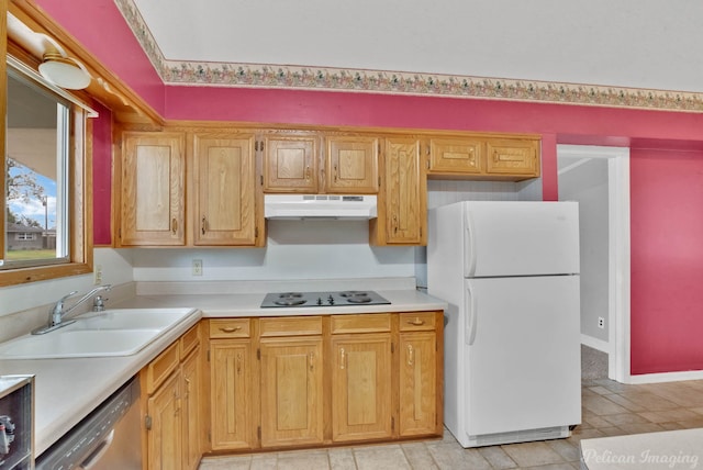 kitchen featuring sink, black electric stovetop, white fridge, and dishwasher