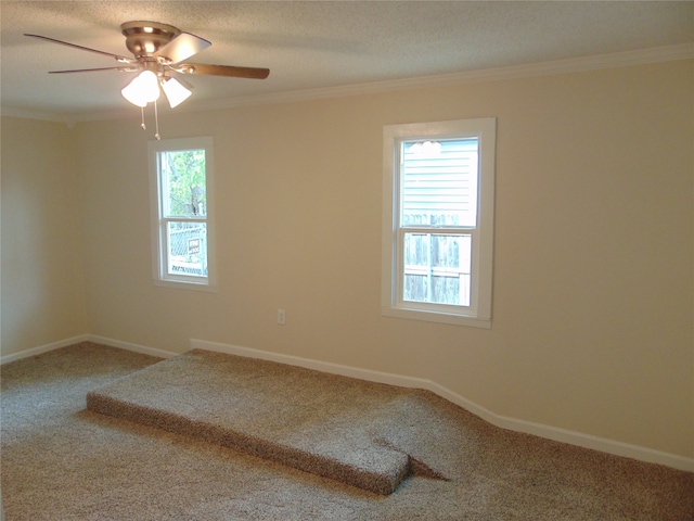 empty room with ornamental molding, carpet floors, a textured ceiling, and a wealth of natural light