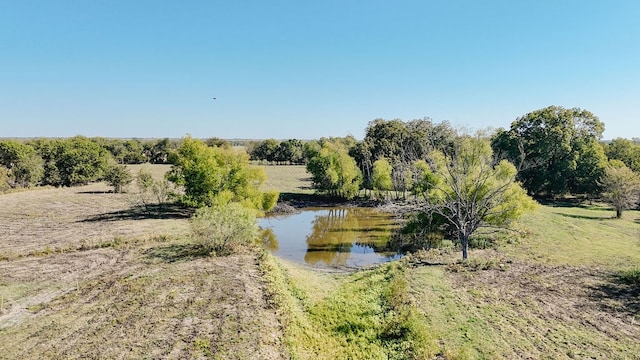 view of nature featuring a water view and a rural view