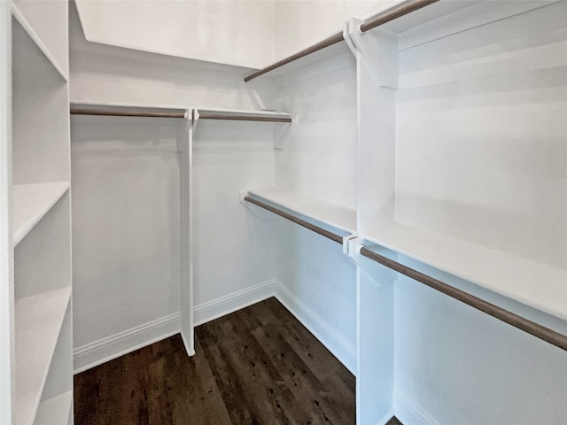 spacious closet featuring dark wood-type flooring