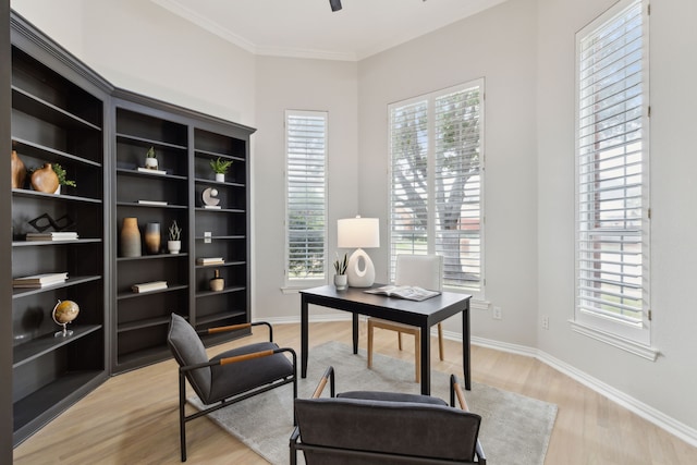 home office featuring light hardwood / wood-style floors, crown molding, and a wealth of natural light