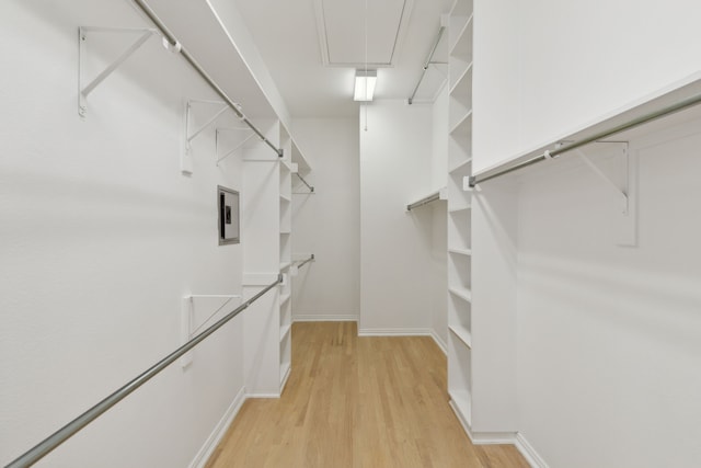 walk in closet featuring light wood-type flooring